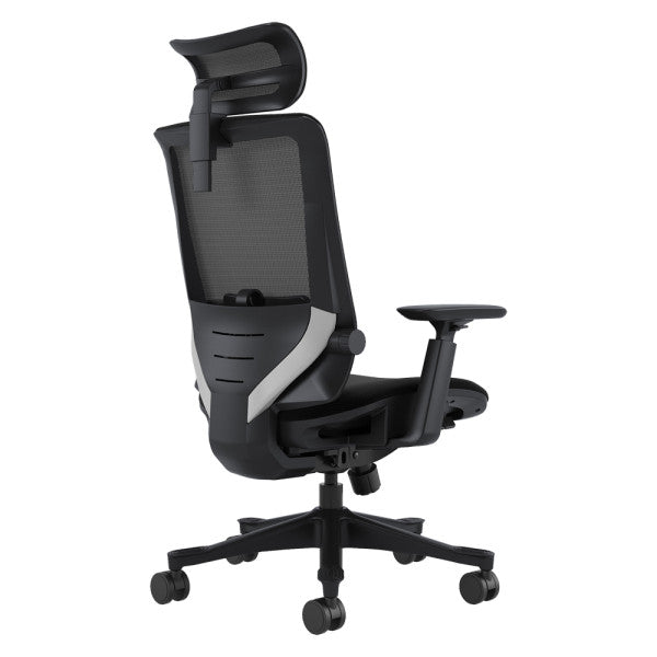 SKILLCHAIRS Ergo Aurora SKILLCHAIRS Ergo Aurora